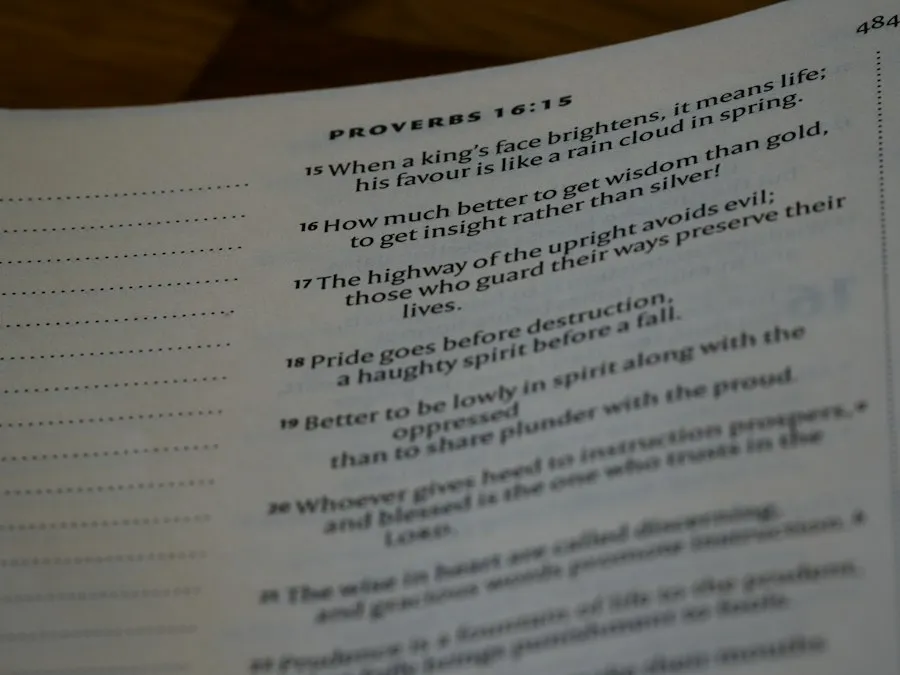 Photo performance evaluation guide
