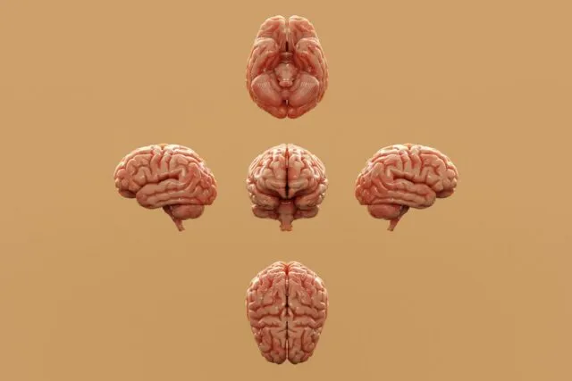 Photo organizational psychology in modern management
